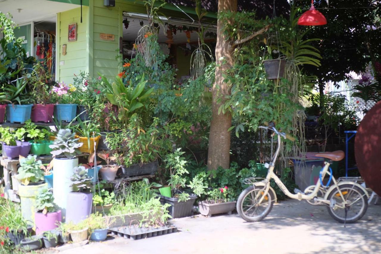 A Houses Homestay 呵叻 外观 照片